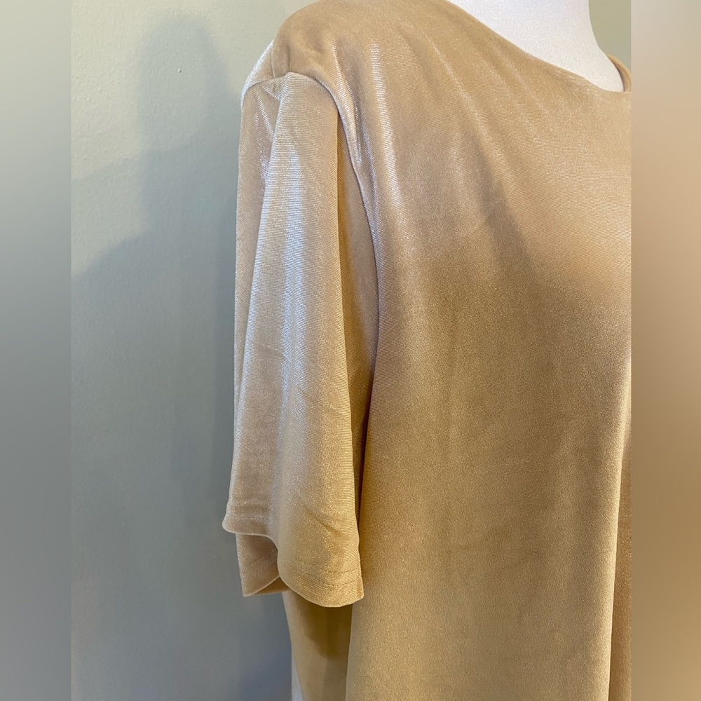 DG2 By Diane Gilman Velvet Blouse Size XL - Picture 3 of 7